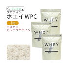 ホエイプロテイン WPC プレーン 3kg 甘味料不使用 プロテイン コンセントレート の ホエイプロテイン100 ！ 女性 にもおすすめ ココアフレーバープレゼント nichie ニチエー