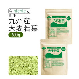 ＼ 2セット（1kg分）購入で＋100gプレゼント ／ 青汁 大麦若葉 大麦若葉青汁 国産 500g 九州産 新鮮な 大麦若葉 をすぐ加工し 粉末 にした 無添加 青汁 H10 nichie ニチエー