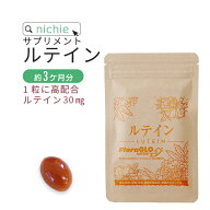 ルテイン サプリメント ゼアキサンチン 90粒（約3ヶ月分） ルテイン サプリ E10 nichie ニチエー RSL #別…