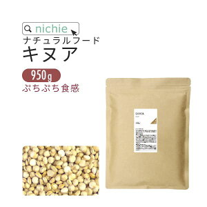 LkA y[Y 950g IʉHi G LmA nichie j`G[