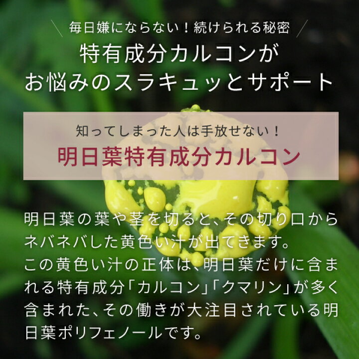 楽天市場 明日葉 パウダー 青汁 100g 八丈島産 国産 明日葉青汁 明日葉粉末 H40 Nichie ニチエー Rsl Nichie ニチエー 楽天市場 明日葉 パウダー 青汁 100g 八丈島産 国産 明日葉青汁 明日葉粉末 H40 Nichie ニチエー Rsl Nichie ニチエー