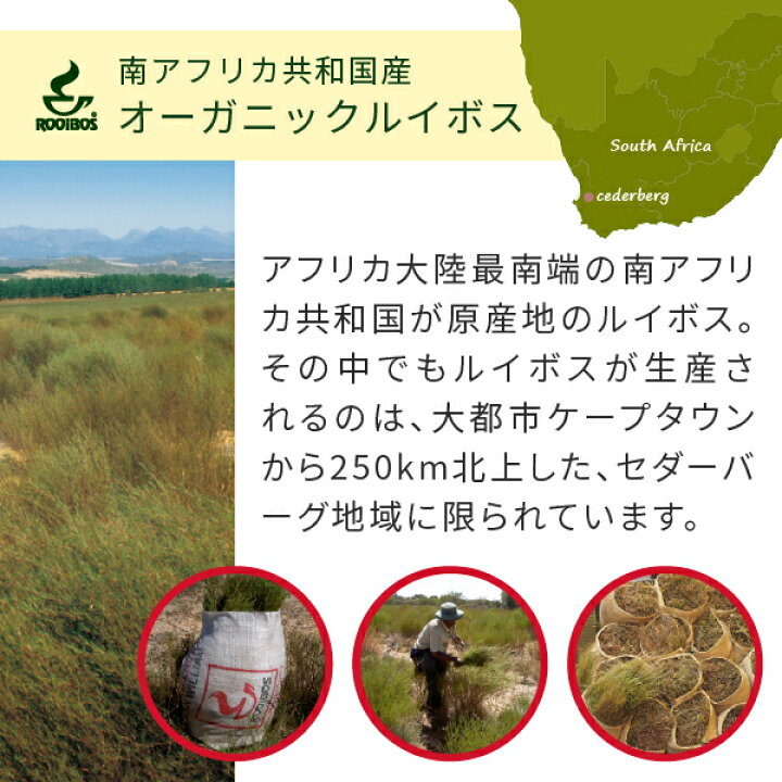 楽天市場】グリーンルイボスティー オーガニック グリーンマークJP12 ティーバッグ 2.5g×40包 ノンカフェイン の 有機 ルイボス 茶 の 大容量 パック ハーブティー ティーパック nichie ニチエー RSL : nichie * ニチエー 楽天市場】グリーンルイボスティー オーガニック グリーンマークJP12 ティーバッグ 2.5g×40包 ノンカフェイン の 有機 ルイボス 茶 の 大容量 パック ハーブティー ティーパック nichie ニチエー RSL : nichie * ニチエー