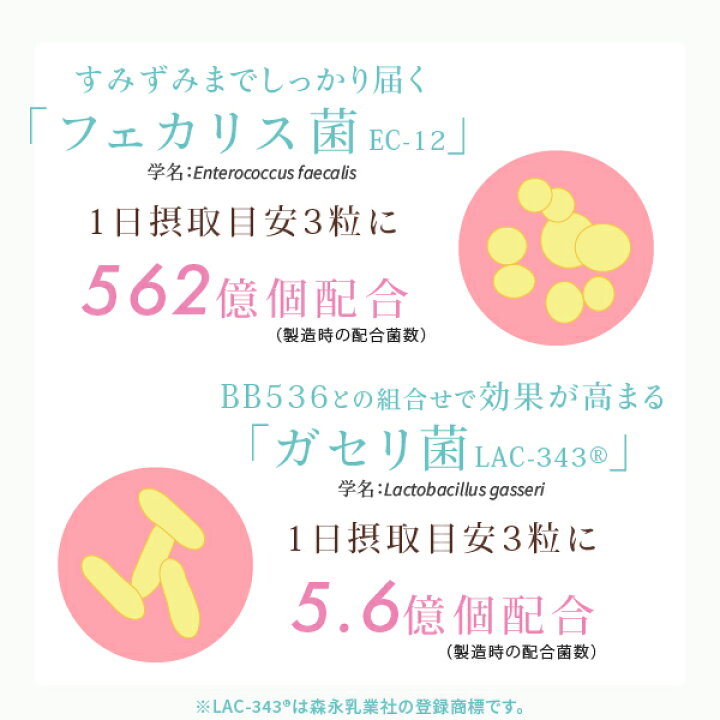 全国送料無料 スーパー乳酸菌 ゲンキかいちょう フェカリス菌 Fk 23 ビートオリゴ糖 環状オリゴ糖 シクロデキストリン A オリゴ糖 フェカリス23配合 花粉 アレルギー 善玉菌 アイアイ元気 150g 6個セット