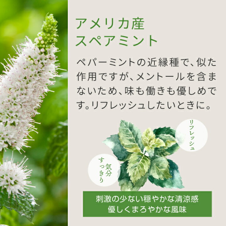 楽天市場 スペアミント ミントティー 100g ミント の ハーブティー スペアミントティー Nichie ニチエー Nichie ニチエー