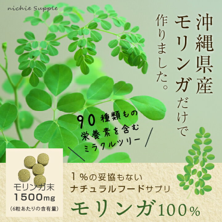 在庫あり 即納 モリンガ パウダー 500g 粉末 青汁 100 お茶 サプリメント
