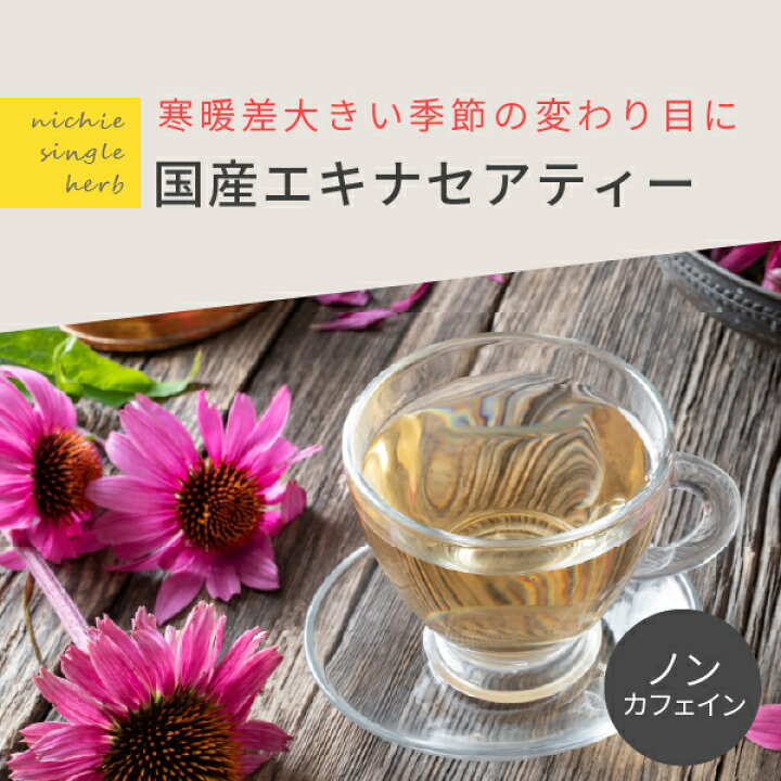 楽天市場 国産 エキナセア 2g 10個 エキナセアティー ノンカフェイン ハーブティー Nichie ニチエー Rc Nichie ニチエー