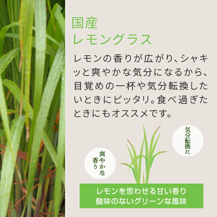 楽天市場】国産 レモングラスティー 熊本県産レモングラス 農薬不使用 