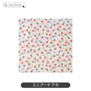 C~ ӂ낵 70cm katakata ͂ ꖳ 1 a LOs ꏡ ꏡ ̃bN  nichie j`G[