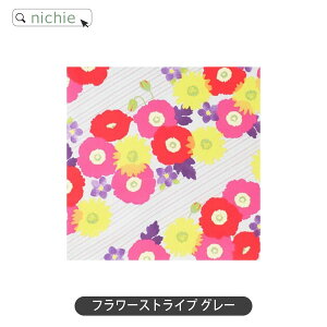 C~ ӂ낵 70cm katakata ͂ ꖳ 1 a LOs ꏡ ꏡ ̃bN  nichie j`G[