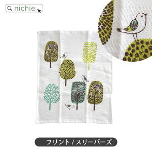 ӂ { ӂ҂ R hL 31×38cm k hJ 唻   Lb`NX z tL VWJgE ǂ̓ Mtg Lb`^I Lb`pi q LbY ̂ @