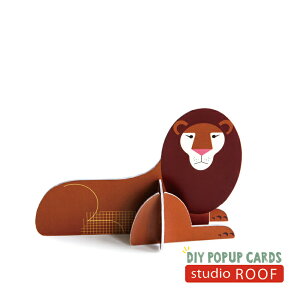 y݌Ɍz y[p[Ntg Lbg |bvAEgJ[h CI av[g v[g G j[N 118009000DD008066