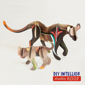 y݌Ɍz y[p[Ntg Lbg s[} av[g v[g G j[N 118013000DD008097