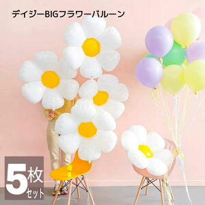 y14z傫  o[ zCg fCW[ BIG D a o[Xf[fR[V Zbg  t[ o[K[h a ̎q j̎q n[to[Xf[ 