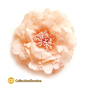 2way ӂ RT[W t su[` Nbv wAANZ t[  pXeJ[ t tF p[eB Ă΂    w Ǝ 񎟉 tH[}y|Xg