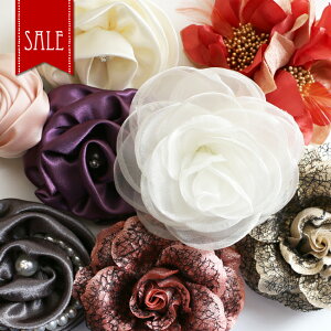   SALEi bsOs 2way RT[W s wAANZ Nbv t[  Ԃ fB[X ANZT[ CXg[ rW[ Ǝ w   