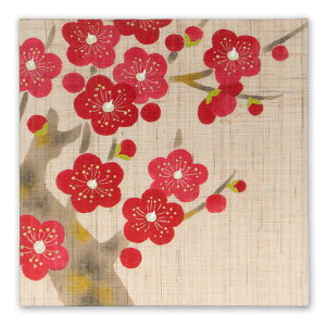 ys`z`  {pl ~E~ ~̏  N悢 VN Ƃ