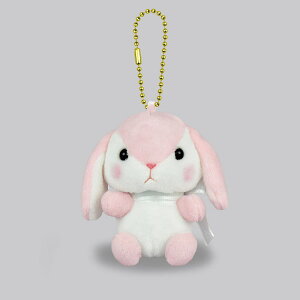 A~[Y ۂĂҁ[V[Y }XRbg BC Ƃׂ[ ݂ LN^[  bvC[ rbg e L[`F[ L[z_[ {[`F[ ꎨ