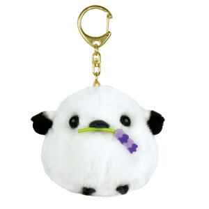 ӂӂV[Y V}GiK }XRbg L[z_[ V} x_[ A~[Y LN^[ Ƃ obN`[ L[`F[