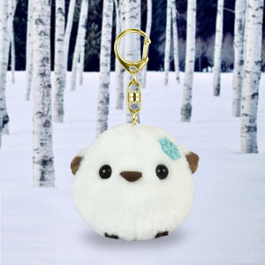 ӂӂV[Y V}GiK }XRbg L[z_[ V} ̗d A~[Y LN^[ Ƃ obN`[ L[`F[