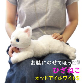【サンレモン】ぬいぐるみ ひざねこ オッドアイホワイトSサイズ 膝乗せ 白猫 キャット 膝ネコ 暖かい 程よい重み 母の日 父の日 敬老の日 プレゼント ギフト