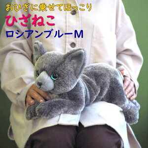 yTzʂ Ђ˂ VAu[ MTCY G悹 L Lbg GlR g 悢d ̓ ̓ hV̓ v[g Mtg