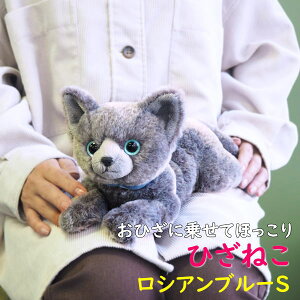 yTzʂ Ђ˂ VAu[ STCY G悹 L Lbg GlR g 悢d ̓ ̓ hV̓ v[g Mtg