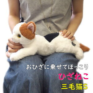 yTzʂ Ђ˂ ~PSTCY G悹 Lbg GlR g 悢d ̓ ̓ hV̓ v[g Mtg OєL