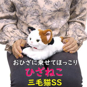 yTzʂ Ђ˂ ~PSSTCY G悹 Lbg GlR g 悢d ̓ ̓ hV̓ v[g Mtg OєL