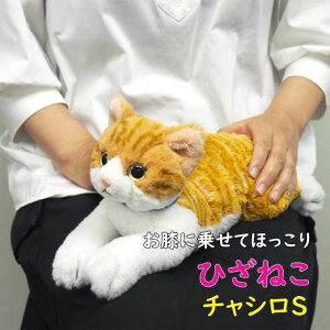 yTzʂ Ђ˂ `VSTCY G悹 L Lbg GlR g 悢d ̓ ̓ hV̓ v[g Mtg