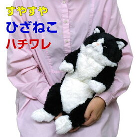 【サンレモン】ぬいぐるみ すやすやひざねこ ハチワレ 膝乗せ 猫 キャット 膝ネコ 暖かい 程よい重み 母の日 父の日 敬老の日 プレゼント ギフト