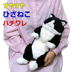 yTzʂ ₷Ђ˂ n` G悹 L Lbg GlR g 悢d ̓ ̓ hV̓ v[g Mtg