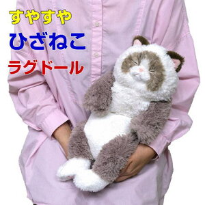 yTzʂ ₷Ђ˂ Oh[ G悹 L Lbg GlR g 悢d ̓ ̓ hV̓ v[g Mtg 