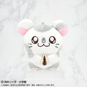 ƂƂnY PlayCharm yo_CiRkCz