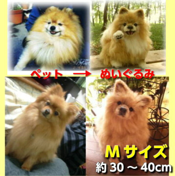 楽天市場 川本愛子製作 完全オーダーメイド犬 猫のぬいぐるみ ｍサイズ体長約30 40cm 逸品shopコレコレ