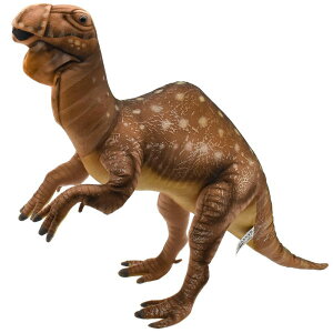 nTyHANSAzʂ b^uTEX H  Ŋ뜜 I[XgA uh hansa 킢 f JXj j aj