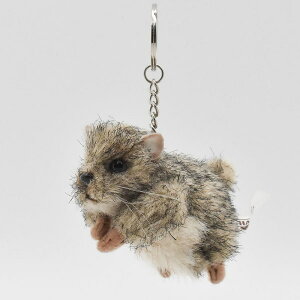 nTyHANSAzʂ L[`F[ }[bg X 킢 L[g L[O `[ obN`[  [ L[z_[ uh  킢 ꏏɂo