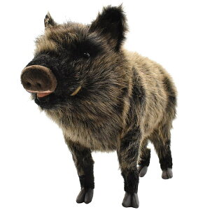 nT hansa ʂ݃CmVV52cm XƂZт܂