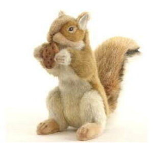 nTyHANSAzʂ ؂̎tAJX25cm I[XgA uh hansa 킢 f JXj j aj