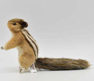楽天市場 ハンサ ｈａｎｓａ ぬいぐるみシベリアシマリス12 逸品shopコレコレ
