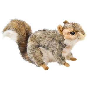 nTyHANSAzʂ DFX22 nCCX I[XgA uh hansa 킢 f JXj j aj