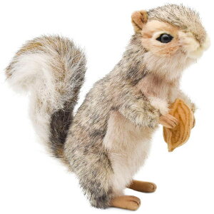 nTyHANSAzʂ DFX nCCX21cm I[XgA uh hansa 킢 f JXj j aj