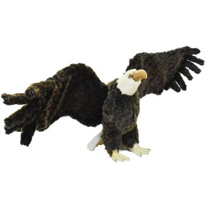 nTyHANSAzʂ nNgEV70 h C[O I[XgA uh hansa 킢 f JXj j aj