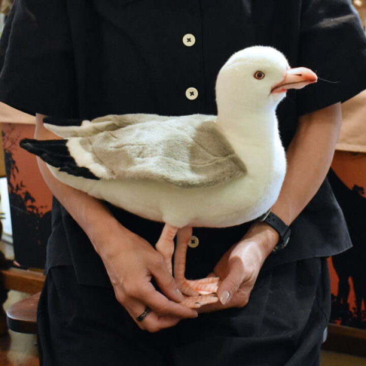 楽天市場 ハンサ ｈａｎｓａ ぬいぐるみ カモメ12 かもめ 逸品shopコレコレ
