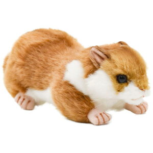 nTyHANSAzʂ nX^[18cm I[XgA uh hansa 킢 f JXj j aj