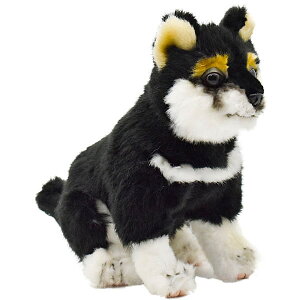 nTyHANSAzʂ NVo(e)22  Č  ǂ I[XgA uh hansa 킢 f JXj j aj