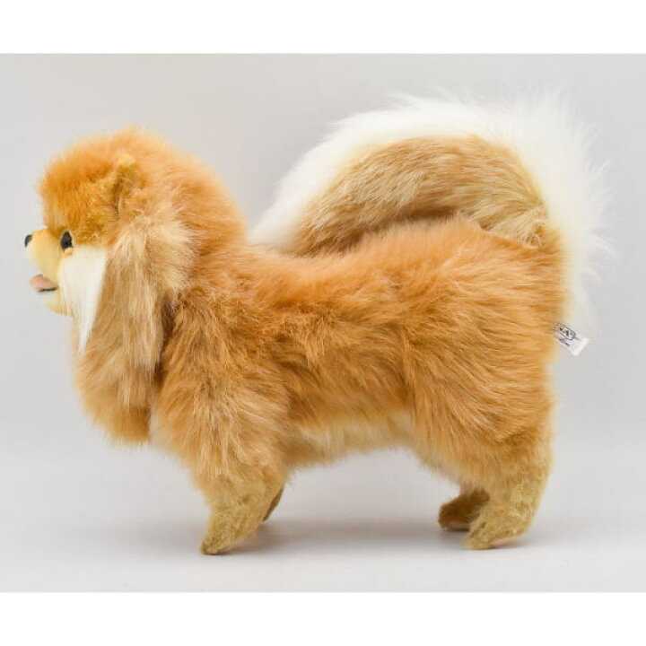 楽天市場 ハンサ ｈａｎｓａ ぬいぐるみポメラニアン39cm いぬ 犬 逸品shopコレコレ