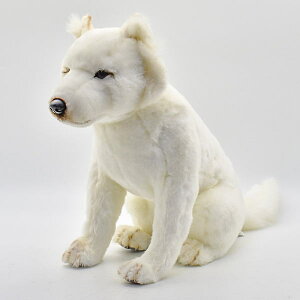 nTyHANSAz ʂ kC60cm \Iȓ{ I[XgA uh hansa 킢 f JXj j aj