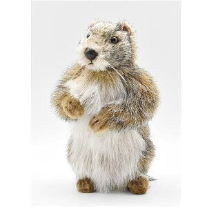 nTyHANSAzʂ }[bg20 I[XgA uh hansa 킢 f JXj j aj