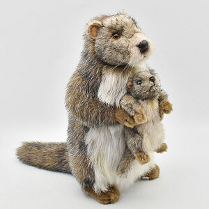 nTyHANSAzʂ }[bgeq35 I[XgA uh hansa 킢 f JXj j aj