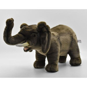 nTyHANSAzʂ AtJ]E 48 I[XgA uh hansa 킢 f JXj j aj